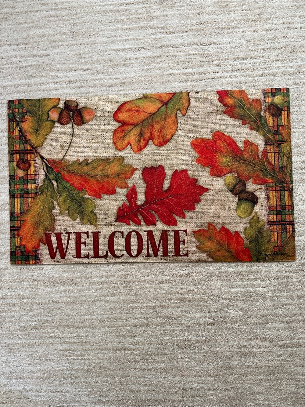 Like New Door mat MatMates Studio M Fall Welcome Leaves Acorns Season Susan West
